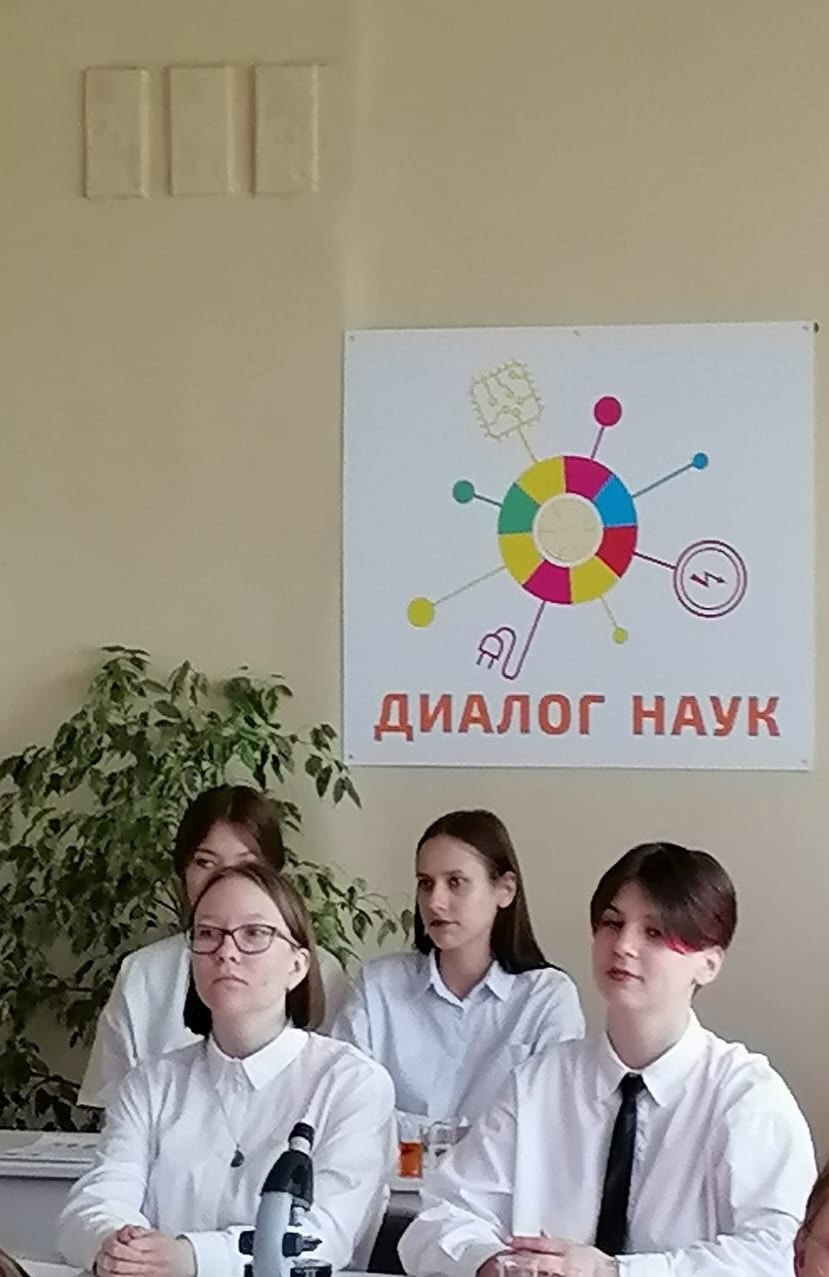 08495824.jpg